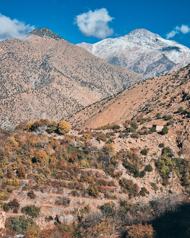 Marrakech : Excursion dans la vallée de l’Ourika – Montagnes de l’Atlas, cascades, villages berbères - Image 3