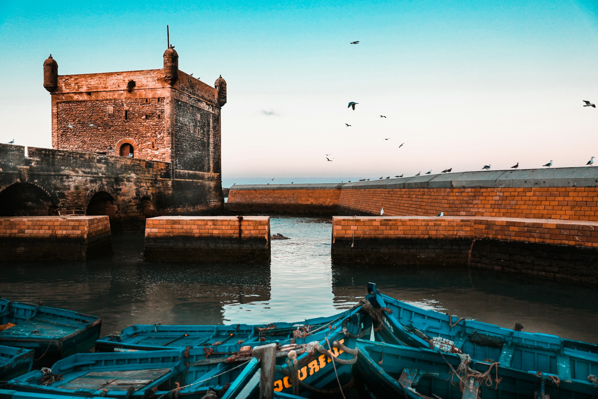 Depuis Marrakech : Excursion d’une journée à Essaouira – Médina, plage, port & coopérative d’argan - Image 3